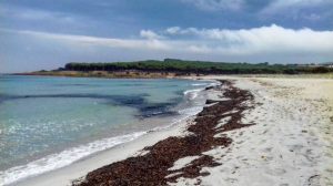 Spiaggia Sa Capannizza (Budoni)