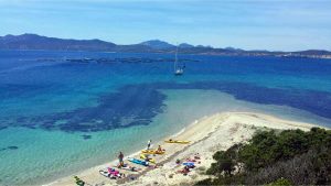 Spiaggia dell'Isola di Figarolo