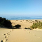 Dune di Piscinas (Arbus)