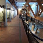 Museo Archeologico di Viddalba