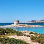 Torre dell'Isola Pelosa
