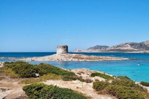 Torre dell'Isola Pelosa