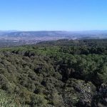 Monte Arci
