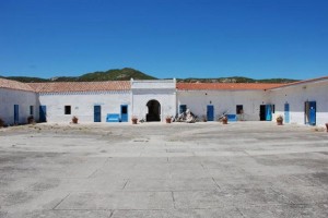 Carcere Asinara