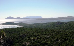 Golfo di Cugnana