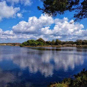 Laguna di Calich (Fertilia)