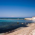 Spiaggia Scoglio Lungo (Porto Torres)