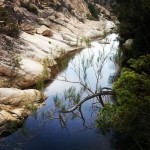 Rio Pitrisconi (San Teodoro)
