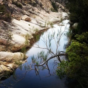 Rio Pitrisconi (San Teodoro)