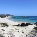 Spiaggia Su Giudeu sud