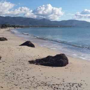 Spiaggia di Sant'Andrea