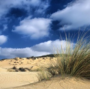 Dune Pistis (Arbus)