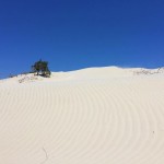 Dune di Porto Pino