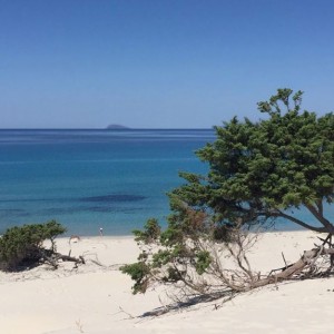 Spiaggia di Is Arenas (Teulada)