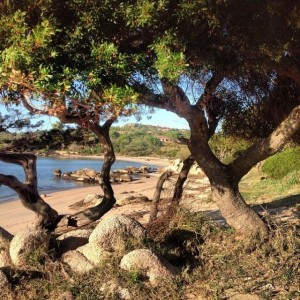 Spiaggia Porto Sole (Baia Sardinia)