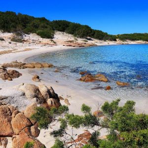Cala Andreani spiaggia (Isola di Caprera)