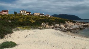 Cala Delfino (Golfo Aranci)