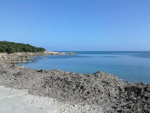 Spiaggia delle Alghe (Iscia Segada)