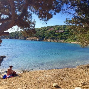 Spiaggia delle Alghe (Sardegna)