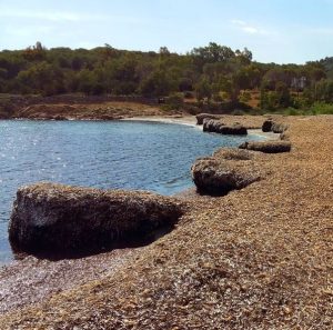 Spiaggia di Portu Caddu (San Teodoro)