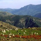 Itinerari di Gallura