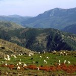 Itinerari di Gallura