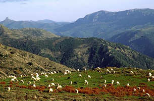 Itinerari di Gallura