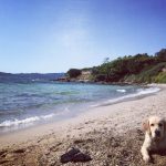Bassey Spiaggia